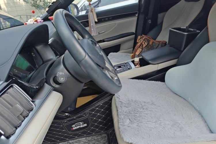 Used BYD Song PLUS New Energy 2021 DM-i 110KM Flagship PLUS Left Front Seat