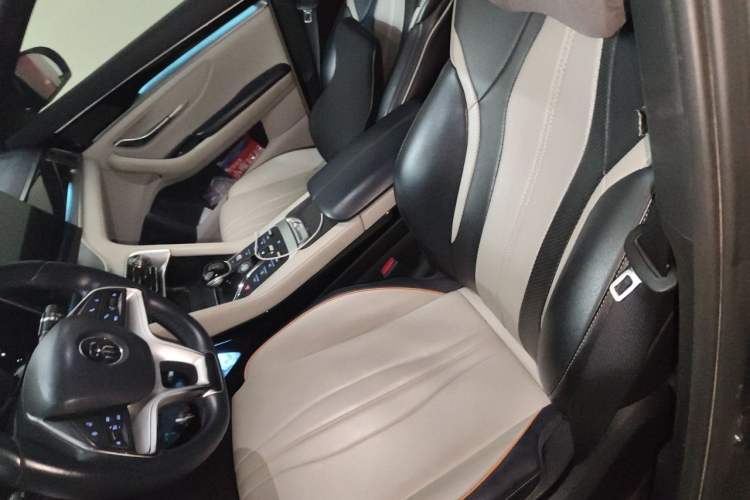 Used BYD Song PLUS New Energy 2021 EV Deluxe Model Left Front Seat