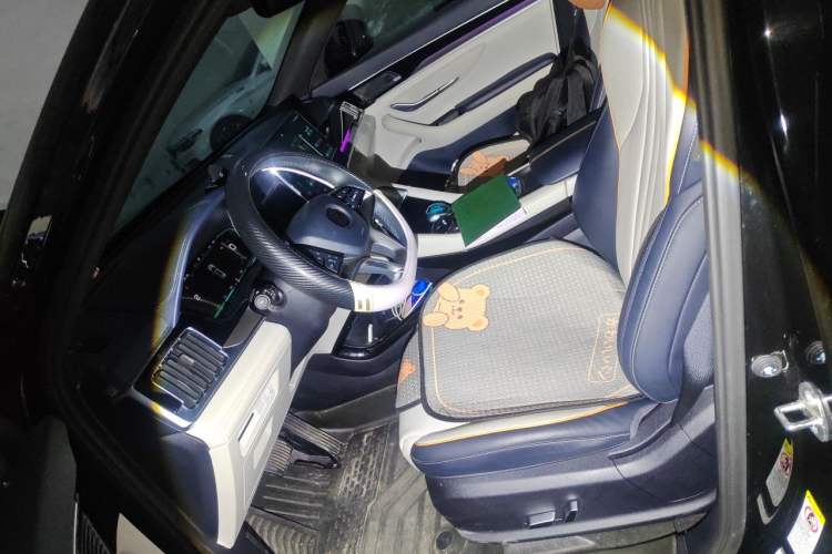 Used BYD Song PLUS New Energy 2021 DM-i 110KM Flagship PLUS Left Front Seat