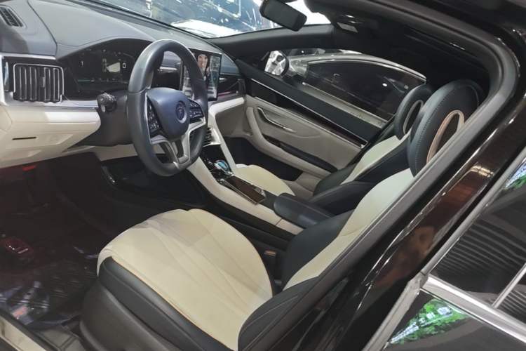 Used BYD Song PLUS New Energy 2021 DM-i 110KM Flagship PLUS Left Front Seat