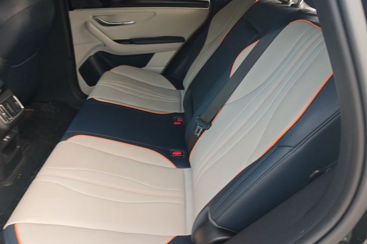 Used BYD Song PLUS New Energy 2021 DM-i 110KM Flagship PLUS Left Rear Seat