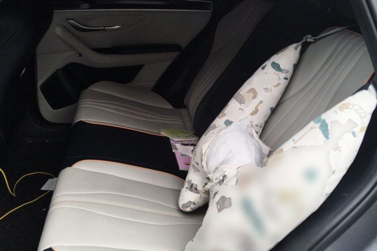 Used BYD Song PLUS New Energy 2021 EV Deluxe Model Left Rear Seat