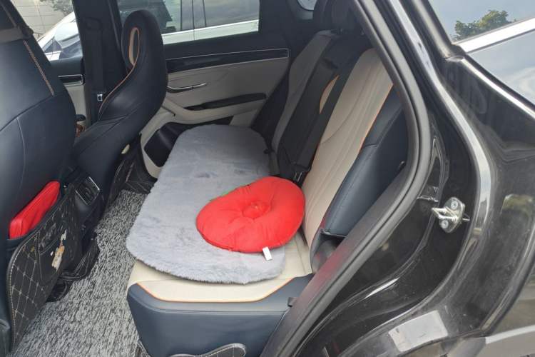 Used BYD Song PLUS New Energy 2021 DM-i 110KM Flagship PLUS Left Rear Seat