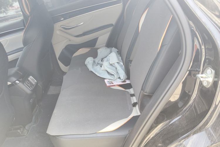 Used BYD Song PLUS New Energy 2021 DM-i 110KM Flagship Model Left Rear Seat