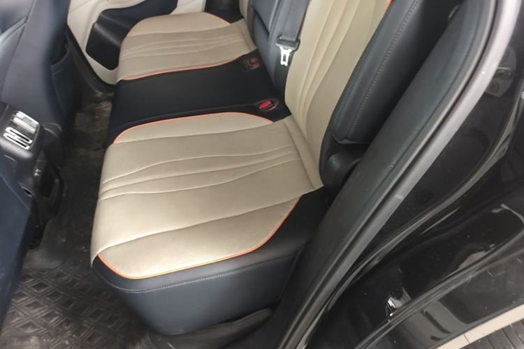 Used BYD Song PLUS New Energy 2021 DM-i 110KM Flagship PLUS Left Rear Seat