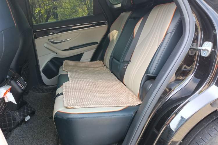 Used BYD Song PLUS New Energy 2021 DM-i 110KM Flagship PLUS Left Rear Seat