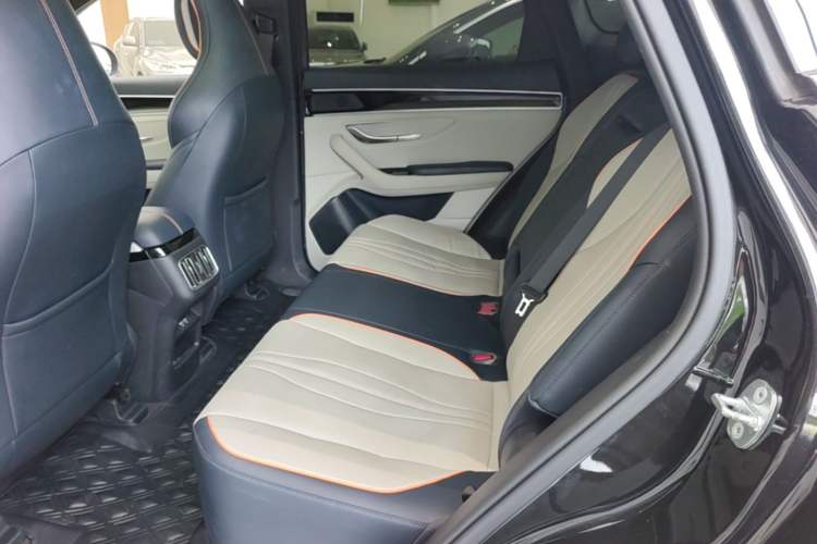 Used BYD Song PLUS New Energy 2021 DM-i 110KM Flagship PLUS Left Rear Seat