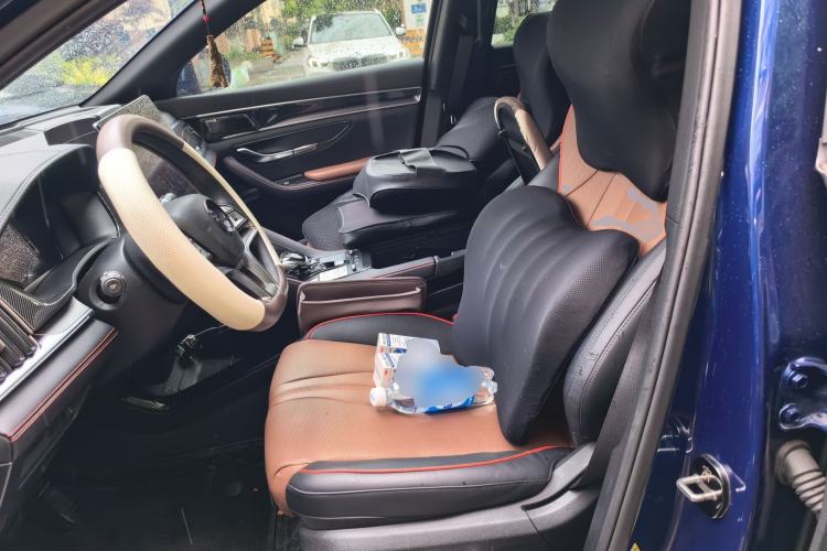 Used BYD Song PLUS New Energy 2021 DM-i 100KM Four-Wheel Drive Flagship PLUS 5G Edition Left Front Seat