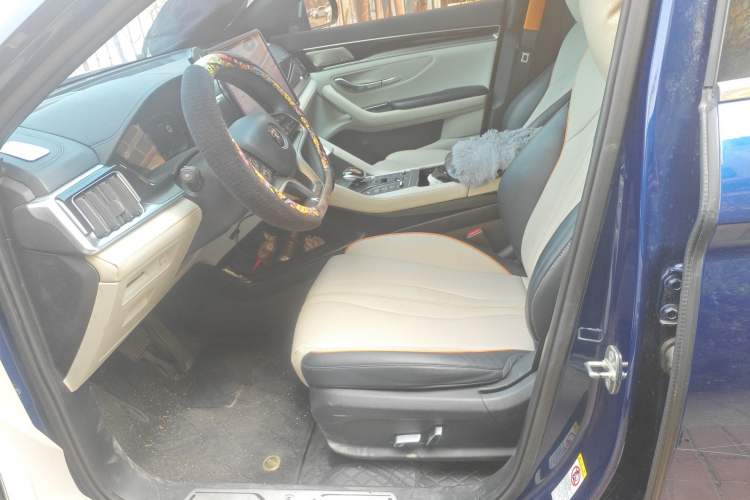 Used BYD Song PLUS New Energy 2021 DM-i 110KM Flagship PLUS Left Front Seat