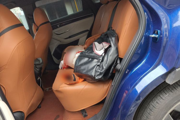 Used BYD Song PLUS New Energy 2021 DM-i 110KM Flagship PLUS Left Rear Seat