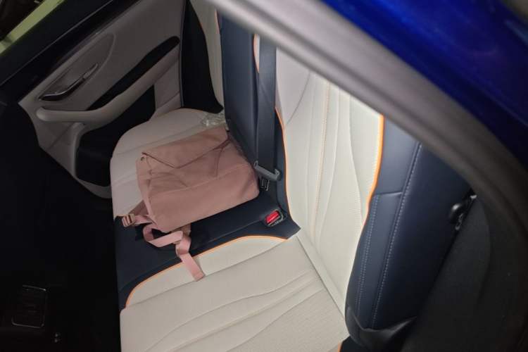 Used BYD Song PLUS New Energy 2021 DM-i 110KM Flagship PLUS Left Rear Seat