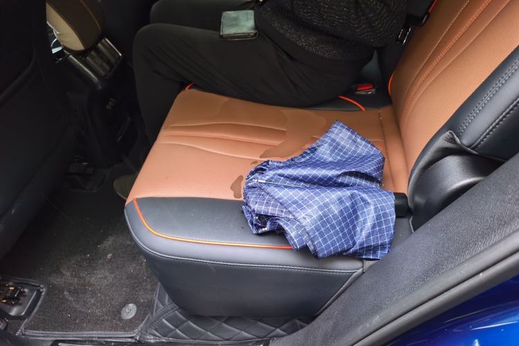 Used BYD Song PLUS New Energy 2021 DM-i 100KM Four-Wheel Drive Flagship PLUS 5G Edition Left Rear Seat