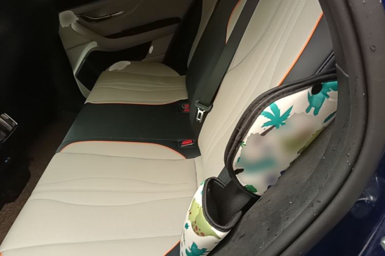 Used BYD Song PLUS New Energy 2021 DM-i 110KM Flagship Model Left Rear Seat