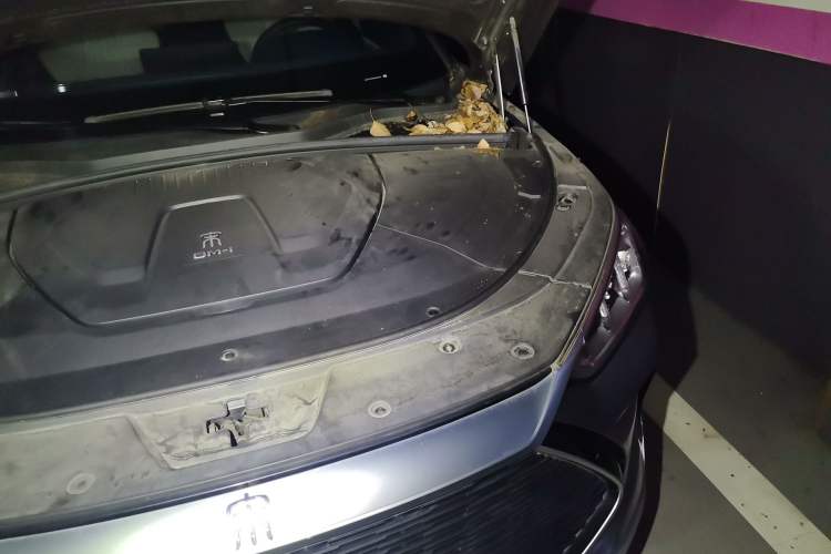 Used BYD Song PLUS New Energy 2021 DM-i 110KM Flagship Model Engine Bay Left