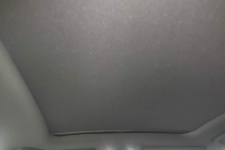 Used BYD Song PLUS New Energy 2021 EV Deluxe Model Headliner