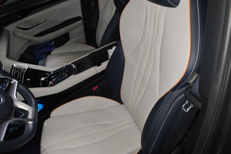 Used BYD Song PLUS New Energy 2021 EV Flagship Model Left Front Seat