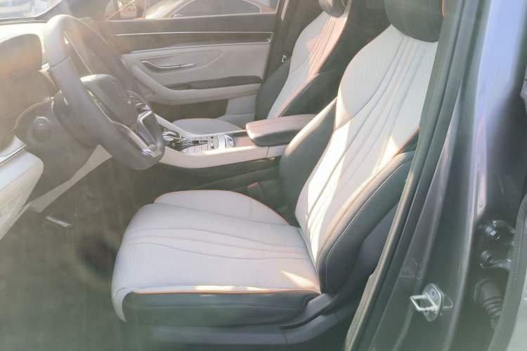 Used BYD Song PLUS New Energy 2021 DM-i 51KM Prestige Model Left Front Seat