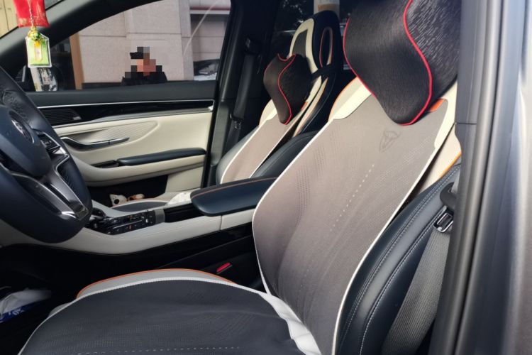 Used BYD Song PLUS New Energy 2021 DM-i 110KM Flagship PLUS 5G Edition Left Front Seat