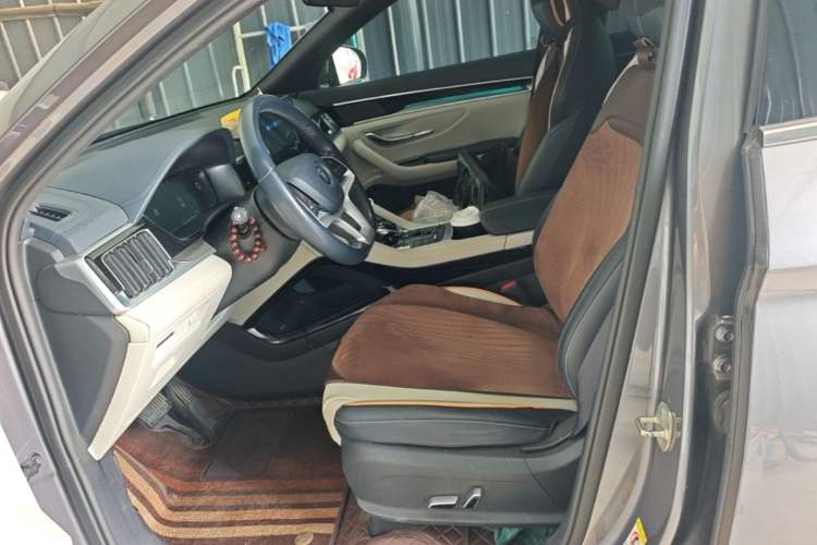 Used BYD Song PLUS New Energy 2021 EV Deluxe Model Left Front Seat
