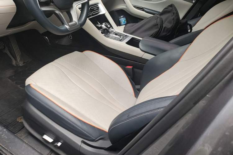 Used BYD Song PLUS New Energy 2021 DM-i 51KM Prestige Model Left Front Seat