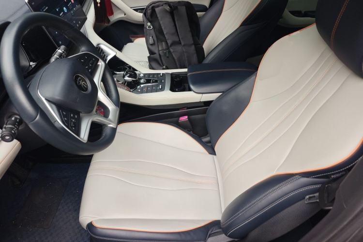Used BYD Song PLUS New Energy 2021 EV Deluxe Model Left Front Seat