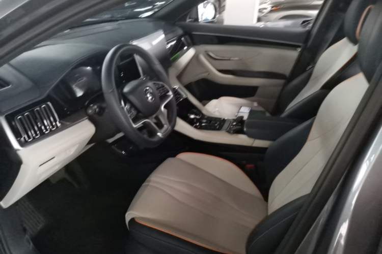 Used BYD Song PLUS New Energy 2021 DM-i 110KM Flagship PLUS Left Front Seat