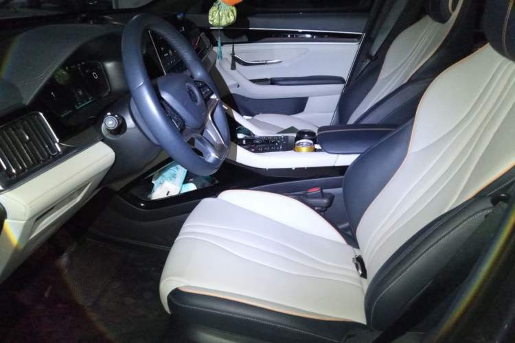 Used BYD Song PLUS New Energy 2021 EV Deluxe Model Left Front Seat