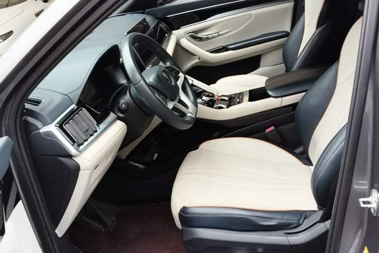 Used BYD Song PLUS New Energy 2021 EV Deluxe Model Left Front Seat