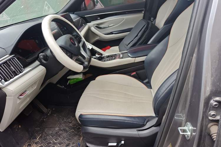 Used BYD Song PLUS New Energy 2021 DM-i 51KM Prestige Model Left Front Seat