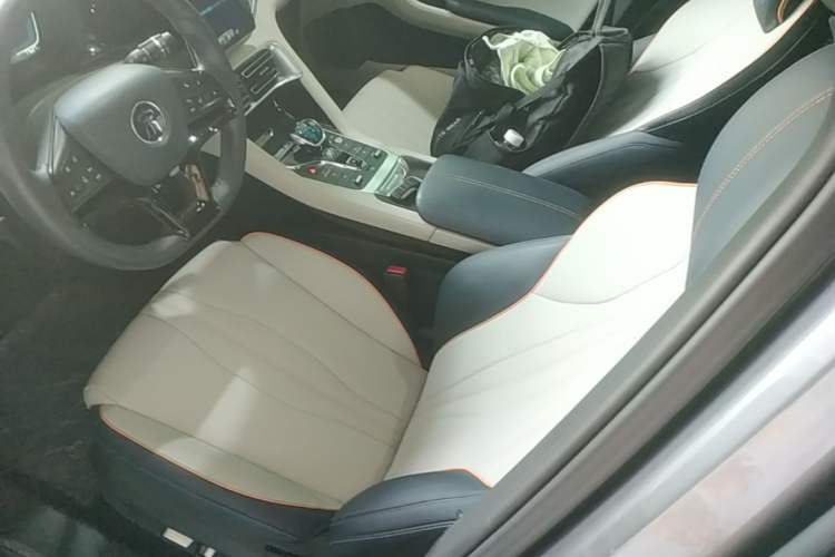 Used BYD Song PLUS New Energy 2021 DM-i 110KM Flagship Model Left Front Seat