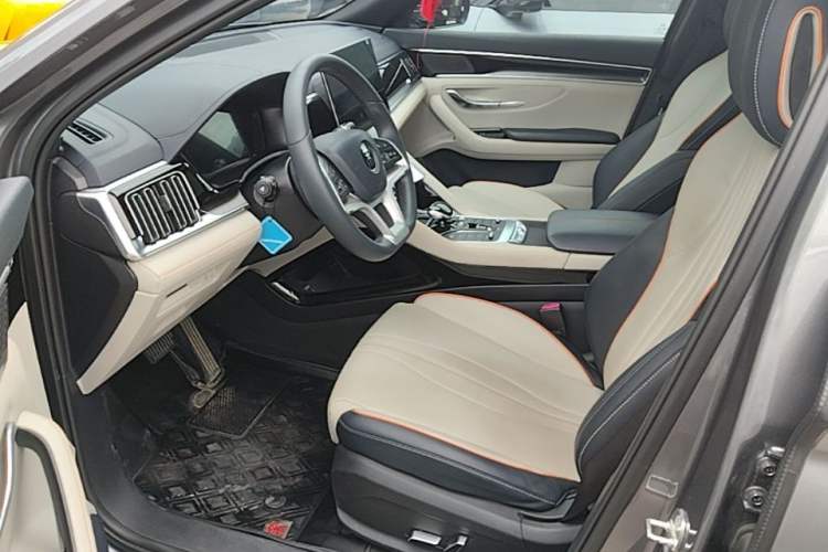 Used BYD Song PLUS New Energy 2021 EV Deluxe Model Left Front Seat