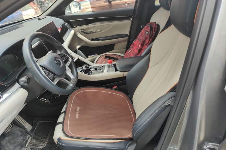 Used BYD Song PLUS New Energy 2021 DM-i 110KM Flagship PLUS Left Front Seat