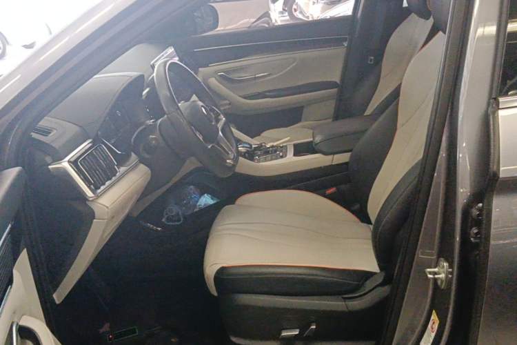 Used BYD Song PLUS New Energy 2021 DM-i 110KM Flagship PLUS Left Front Seat