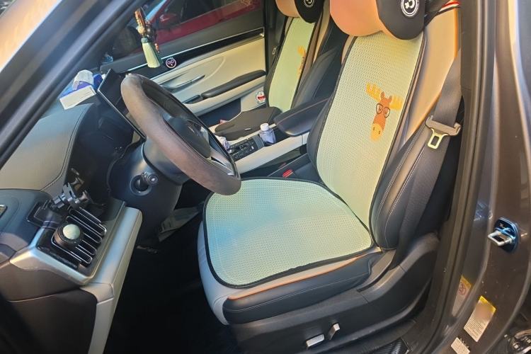 Used BYD Song PLUS New Energy 2021 EV Deluxe Model Left Front Seat