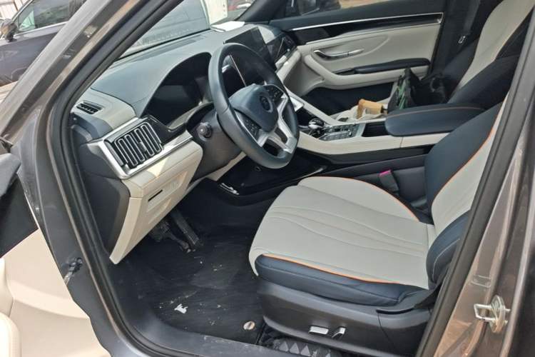 Used BYD Song PLUS New Energy 2021 EV Deluxe Model Left Front Seat