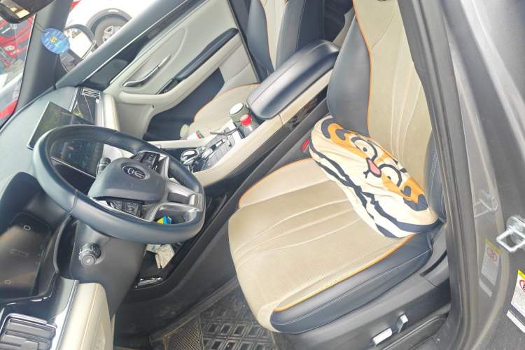 Used BYD Song PLUS New Energy 2021 DM-i 110KM Flagship PLUS Left Front Seat