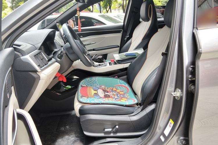 Used BYD Song PLUS New Energy 2021 DM-i 110KM Flagship PLUS Left Front Seat