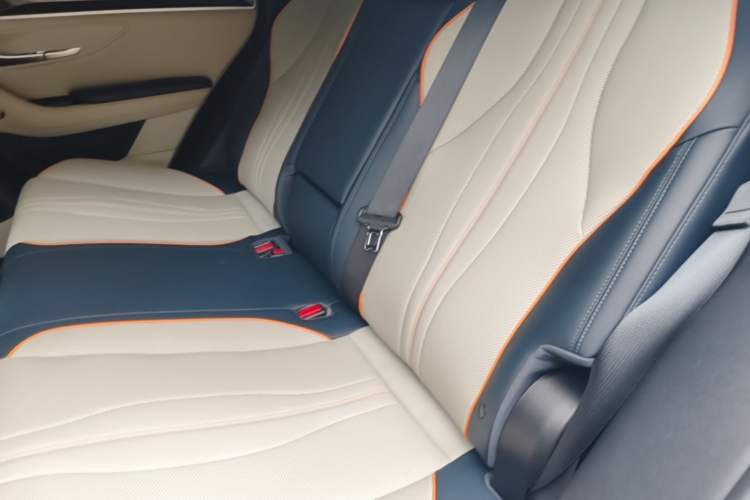 Used BYD Song PLUS New Energy 2021 DM-i 51KM Prestige Model Left Rear Seat