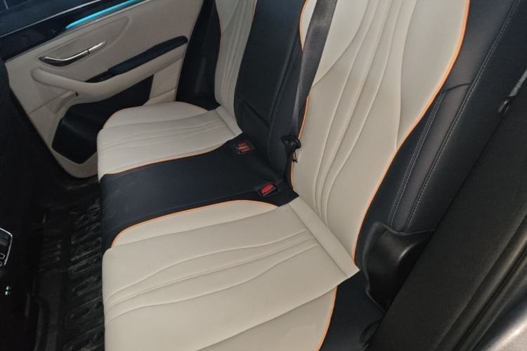 Used BYD Song PLUS New Energy 2021 EV Deluxe Model Left Rear Seat