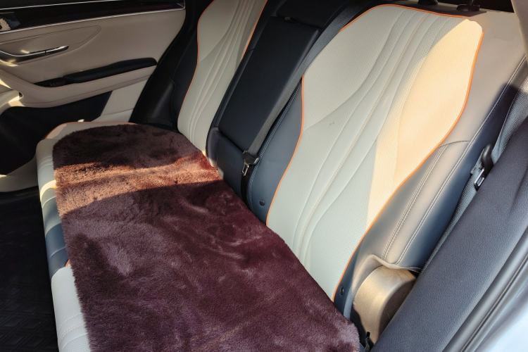 Used BYD Song PLUS New Energy 2021 DM-i 110KM Flagship Model Left Rear Seat