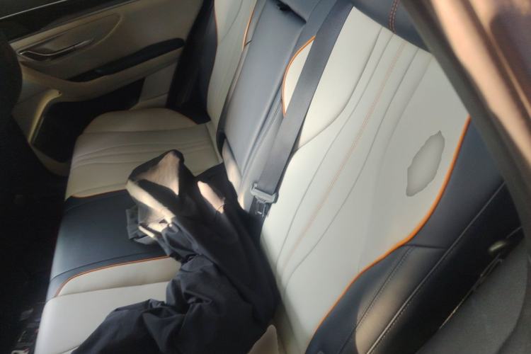 Used BYD Song PLUS New Energy 2021 EV Deluxe Model Left Rear Seat