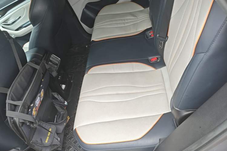 Used BYD Song PLUS New Energy 2021 DM-i 110KM Flagship PLUS Left Rear Seat