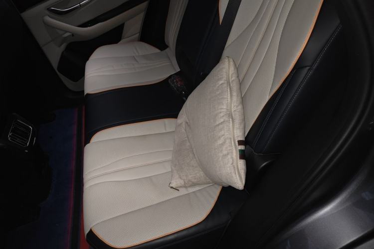 Used BYD Song PLUS New Energy 2021 DM-i 110KM Flagship PLUS Left Rear Seat