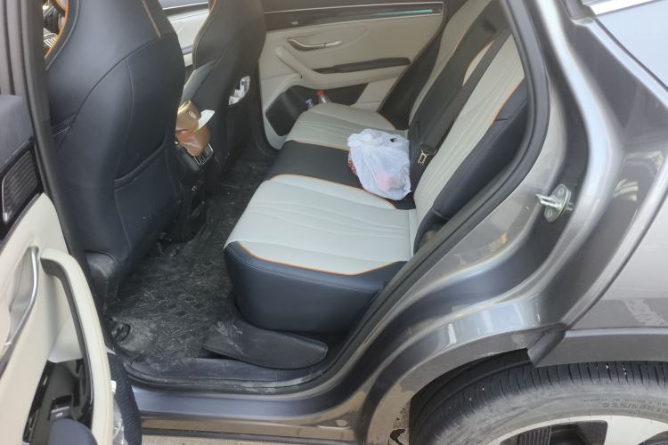 Used BYD Song PLUS New Energy 2021 DM-i 110KM Flagship Model Left Rear Seat