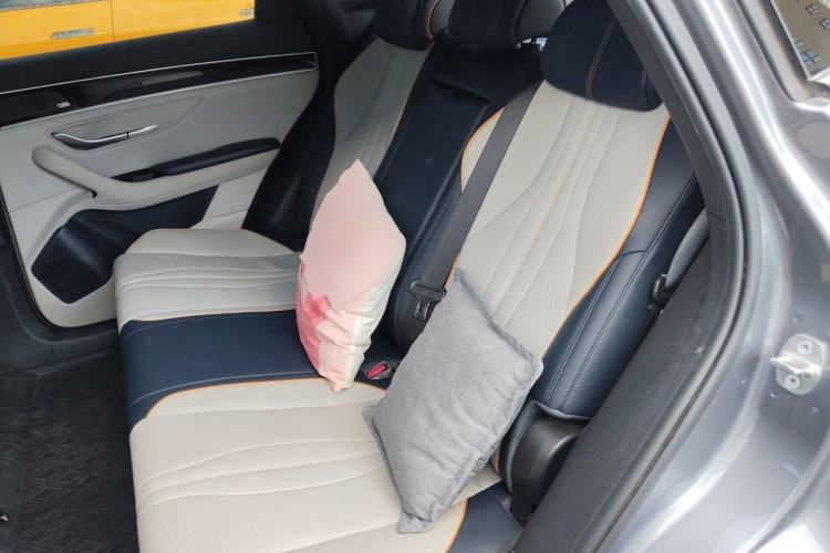 Used BYD Song PLUS New Energy 2021 DM-i 51KM Prestige Model Left Rear Seat