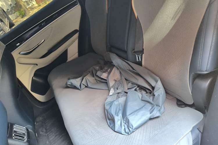 Used BYD Song PLUS New Energy 2021 EV Flagship Model Left Rear Seat