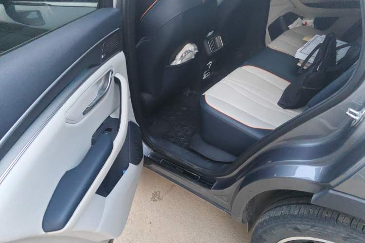 Used BYD Song PLUS New Energy 2021 DM-i 51KM Prestige Model Left Rear Seat