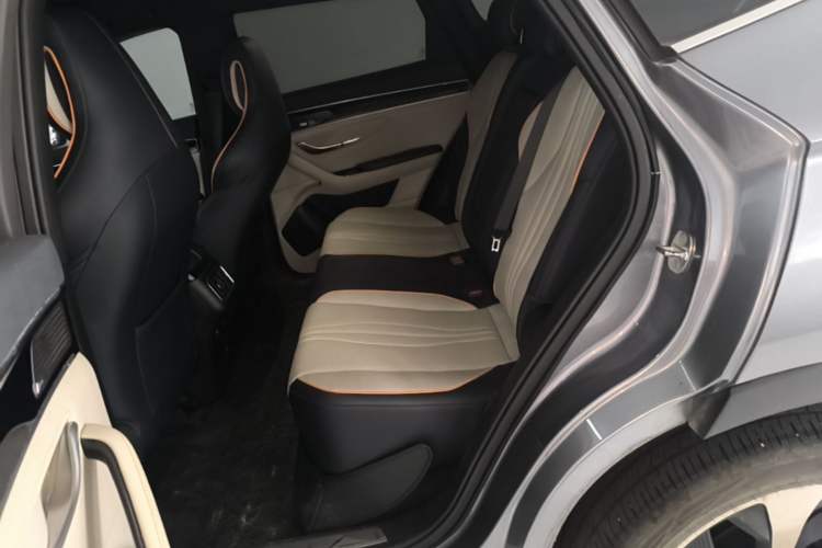 Used BYD Song PLUS New Energy 2021 DM-i 110KM Flagship PLUS Left Rear Seat
