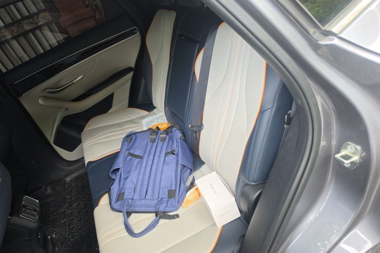 Used BYD Song PLUS New Energy 2021 DM-i 110KM Flagship PLUS Left Rear Seat