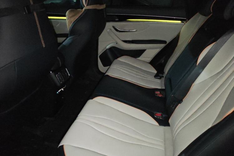 Used BYD Song PLUS New Energy 2021 DM-i 110KM Flagship PLUS Left Rear Seat